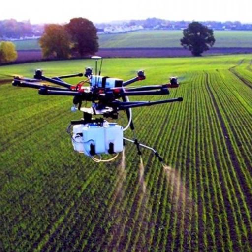 Curso Gratuito Inicial DJI